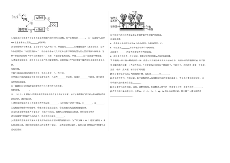 2022-2023学年高一生物上学期期末考前必刷卷02（人教版2019）（考试版）_高中九科知识点归纳。_人教版高中Word电子版试卷练习试题知识点全科_高中生物试卷习题_生物必修_必修1_1.模拟题
