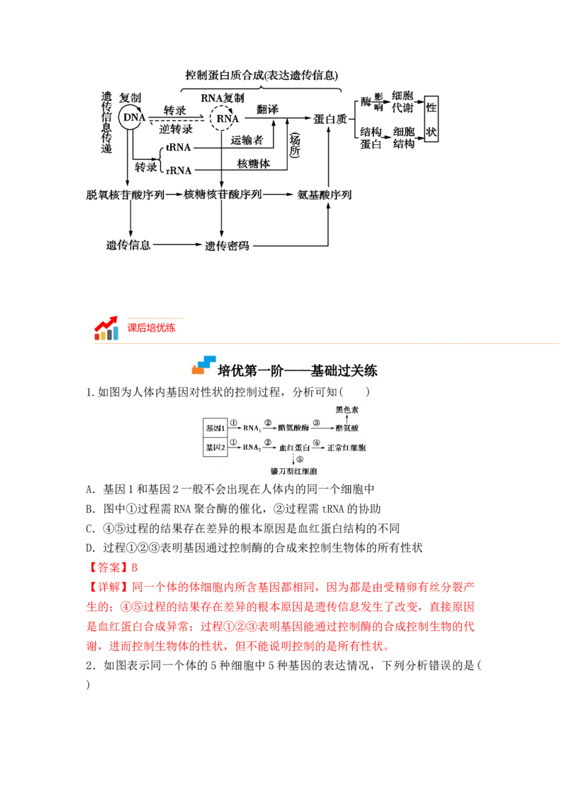 4.2基因表达与性状的关系（解析版）_高中九科知识点归纳。_人教版高中Word电子版试卷练习试题知识点全科_高中生物试卷习题_生物必修_必修2_人教版生物必修二同步练习（057份）