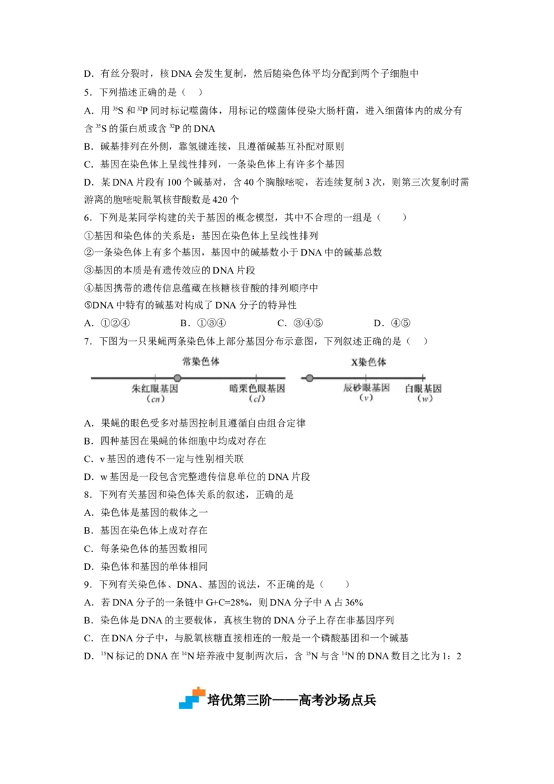 3.4基因通常是有遗传效应的DNA片段（原卷版）_高中九科知识点归纳。_人教版高中Word电子版试卷练习试题知识点全科_高中生物试卷习题_生物必修_必修2_2、课后培优练