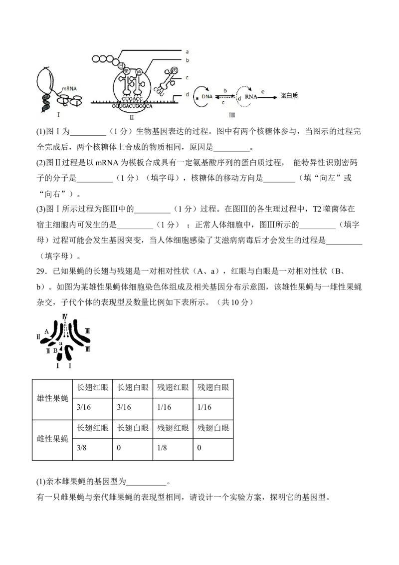 5月份检测卷02（提升练）（考试范围：第1~5章第2节）（原卷版）_高中九科知识点归纳。_人教版高中Word电子版试卷练习试题知识点全科_高中生物试卷习题_生物必修_必修2_2、课后培优练