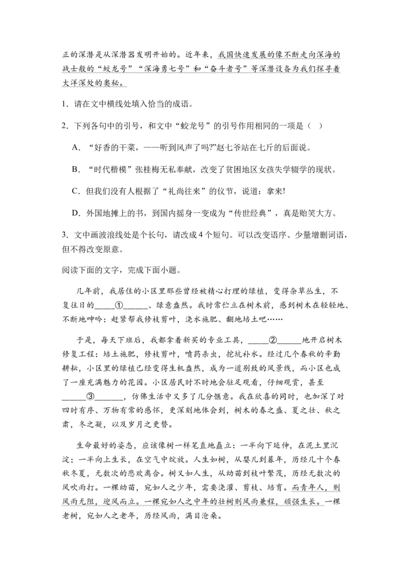 专题06句式变换题型归类-2024年高考语文二轮热点题型归纳与变式演练（新高考专用）（原卷版）_01高考语文_新高考复习资料_2024年新高考资料_二轮复习资料