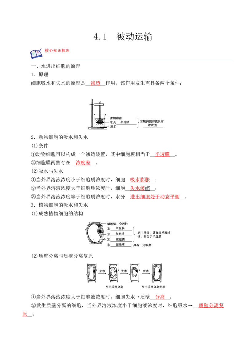 4.1被动运输-高一生物上学期课后培优分级练（2019人教版必修1）（解析版）_高中九科知识点归纳。_人教版高中Word电子版试卷练习试题知识点全科_高中生物试卷习题_生物必修_必修1