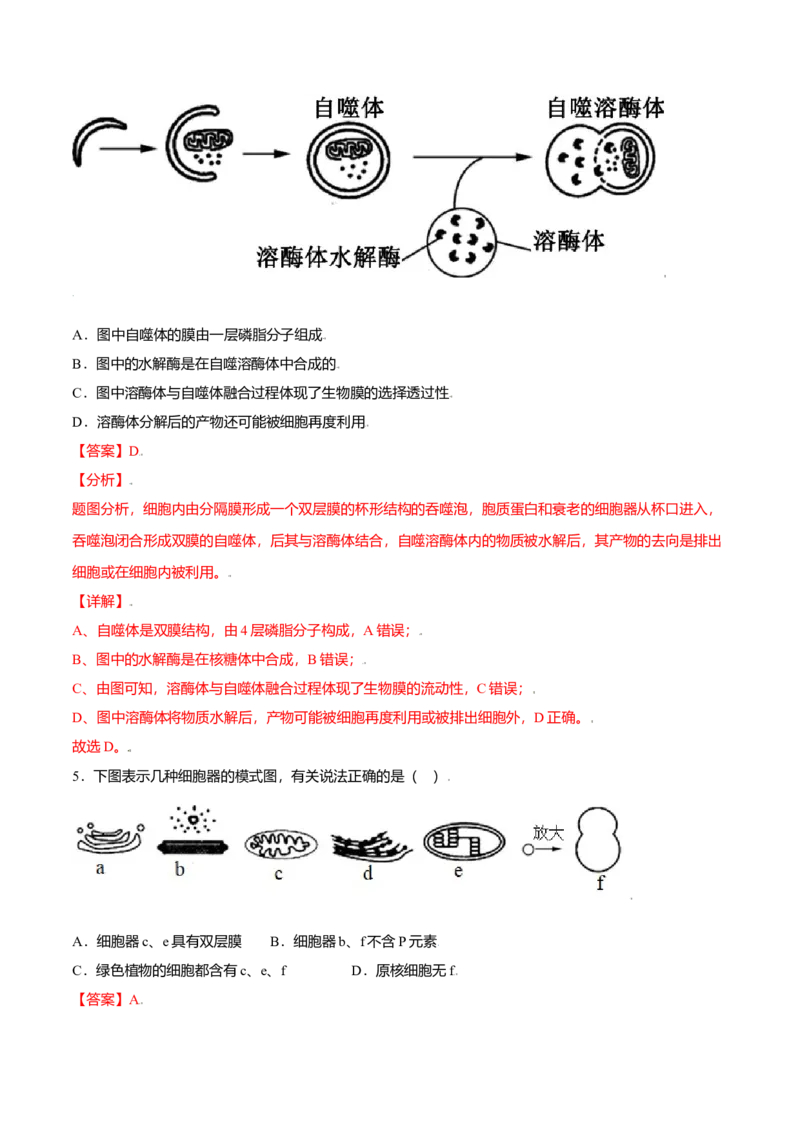 3.2细胞器之间的分工合作-高一生物课后培优练（人教版2019必修1）（解析版）_高中九科知识点归纳。_人教版高中Word电子版试卷练习试题知识点全科_高中生物试卷习题_生物必修_必修1