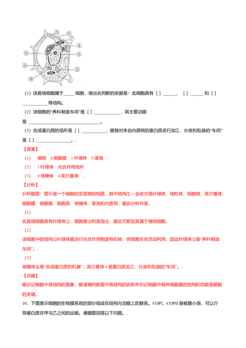 3.2细胞器之间的分工合作-高一生物课后培优练（人教版2019必修1）（解析版）_高中九科知识点归纳。_人教版高中Word电子版试卷练习试题知识点全科_高中生物试卷习题_生物必修_必修1