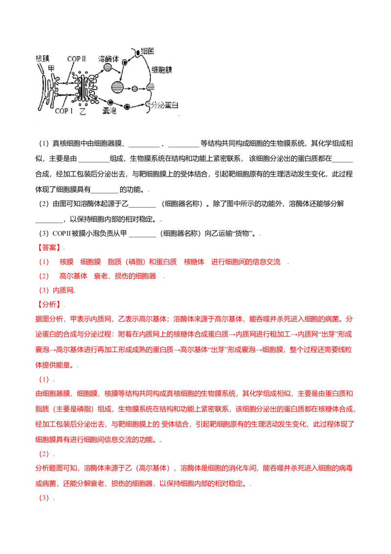 3.2细胞器之间的分工合作-高一生物课后培优练（人教版2019必修1）（解析版）_高中九科知识点归纳。_人教版高中Word电子版试卷练习试题知识点全科_高中生物试卷习题_生物必修_必修1