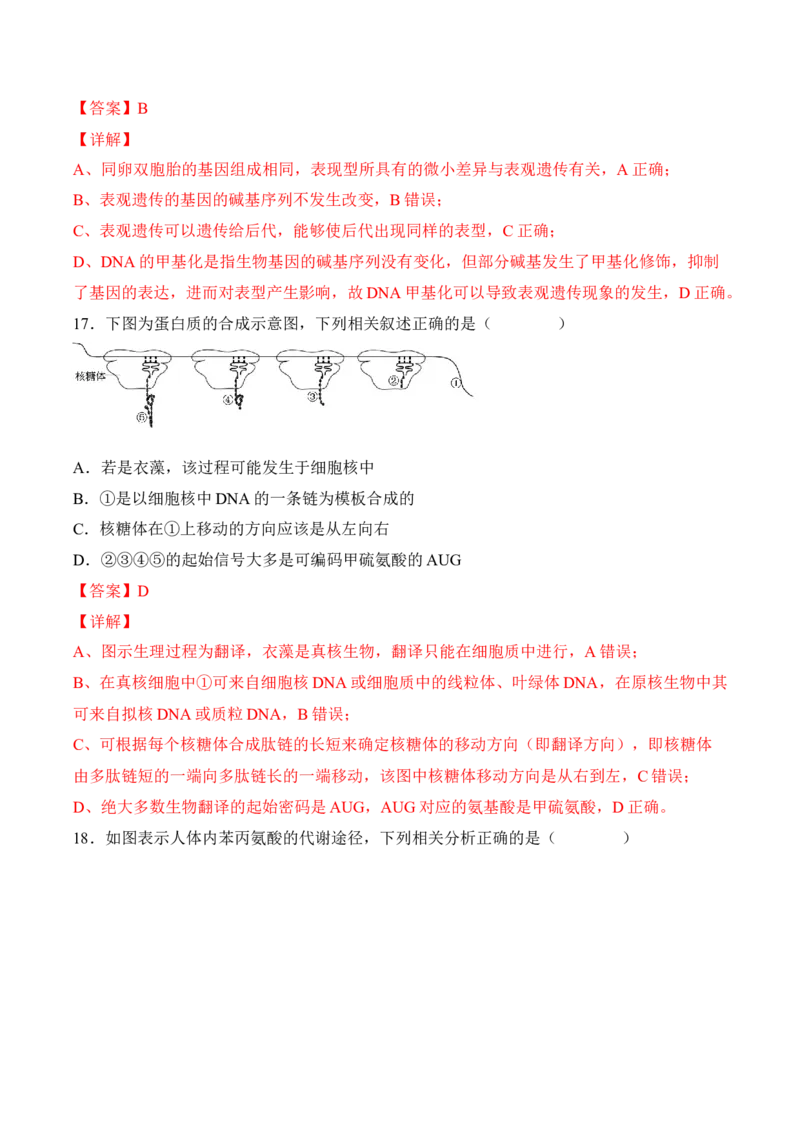 5月份检测卷01（基础练）（考试范围：第1~5章第2节）（解析版）_高中九科知识点归纳。_人教版高中Word电子版试卷练习试题知识点全科_高中生物试卷习题_生物必修_必修2_2、课后培优练