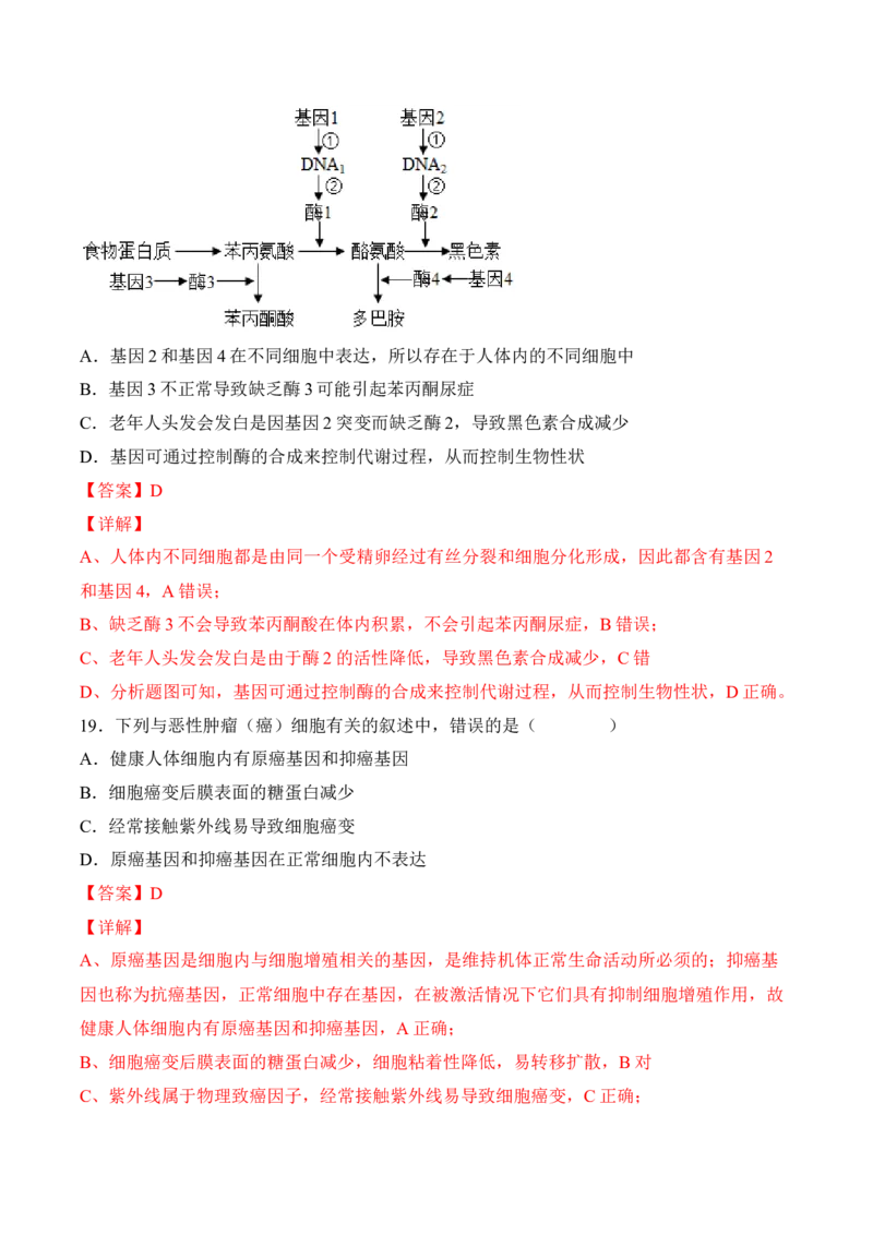 5月份检测卷01（基础练）（考试范围：第1~5章第2节）（解析版）_高中九科知识点归纳。_人教版高中Word电子版试卷练习试题知识点全科_高中生物试卷习题_生物必修_必修2_2、课后培优练