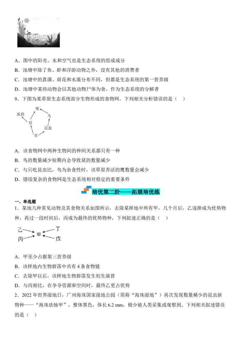 3.1生态系统的结构（原卷版）_高中九科知识点归纳。_人教版高中Word电子版试卷练习试题知识点全科_高中生物试卷习题_生物选修_选修2_人教版生物选修二同步练习（048份）