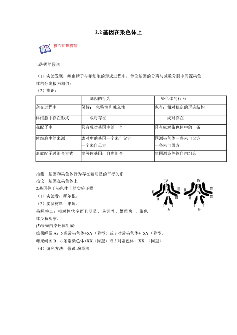 2.2基因在染色体上（解析版）_高中九科知识点归纳。_人教版高中Word电子版试卷练习试题知识点全科_高中生物试卷习题_生物必修_必修2_人教版生物必修二同步练习（057份）