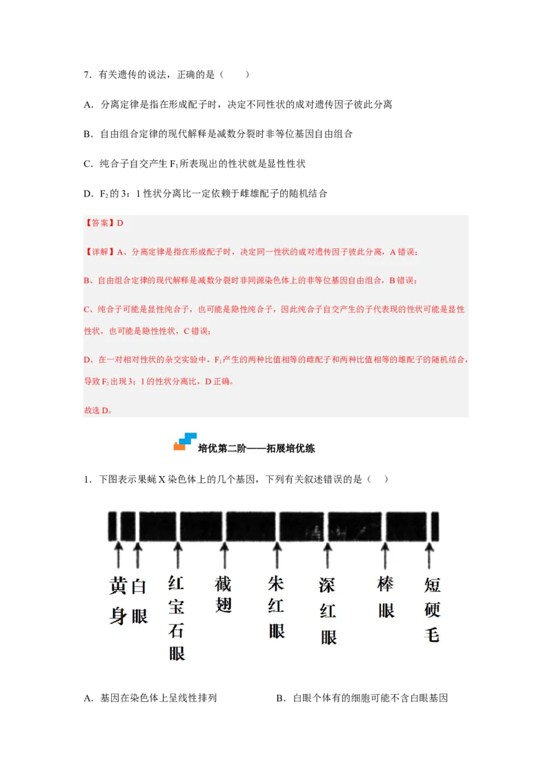 2.2基因在染色体上（解析版）_高中九科知识点归纳。_人教版高中Word电子版试卷练习试题知识点全科_高中生物试卷习题_生物必修_必修2_人教版生物必修二同步练习（057份）