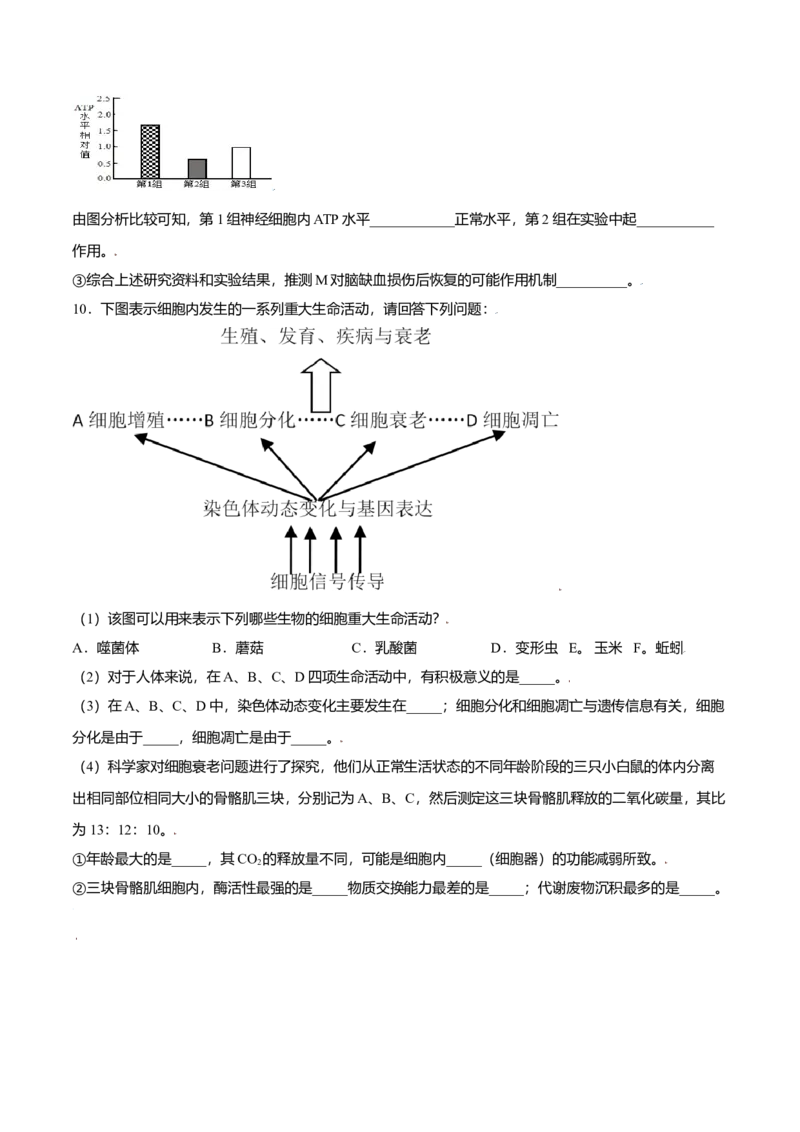 6.3细胞的衰老和凋亡-高一生物课后培优练（人教版2019必修1）（原卷版）_高中九科知识点归纳。_人教版高中Word电子版试卷练习试题知识点全科_高中生物试卷习题_生物必修_必修1