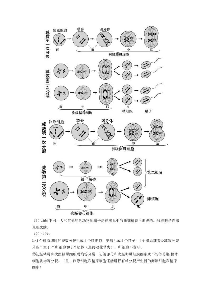 2.1减数分裂和受精作用（原卷版）_高中九科知识点归纳。_人教版高中Word电子版试卷练习试题知识点全科_高中生物试卷习题_生物必修_必修2_人教版生物必修二同步练习（057份）