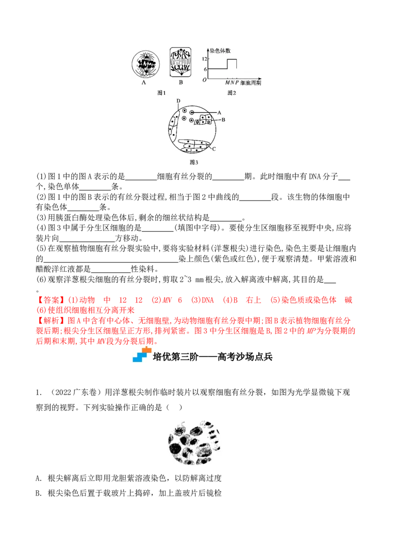 6.1细胞的增殖-高一生物上学期课后培优分级练（2019人教版必修1）（解析版）_高中九科知识点归纳。_人教版高中Word电子版试卷练习试题知识点全科_高中生物试卷习题_生物必修_必修1
