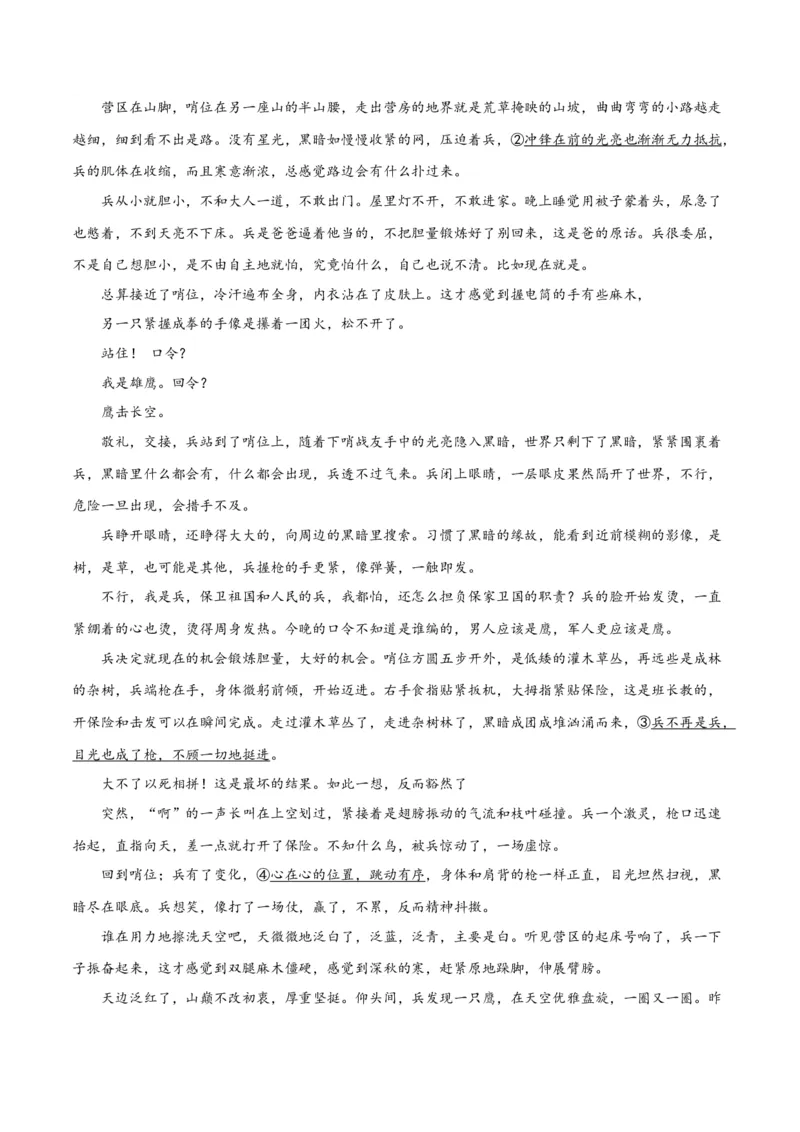 专题11小说的反套路题型（练习）-2024年高考语文二轮复习讲练测（新教材新高考）(解析版)_01高考语文_4.22024年新高考资料_2.2024二轮复习