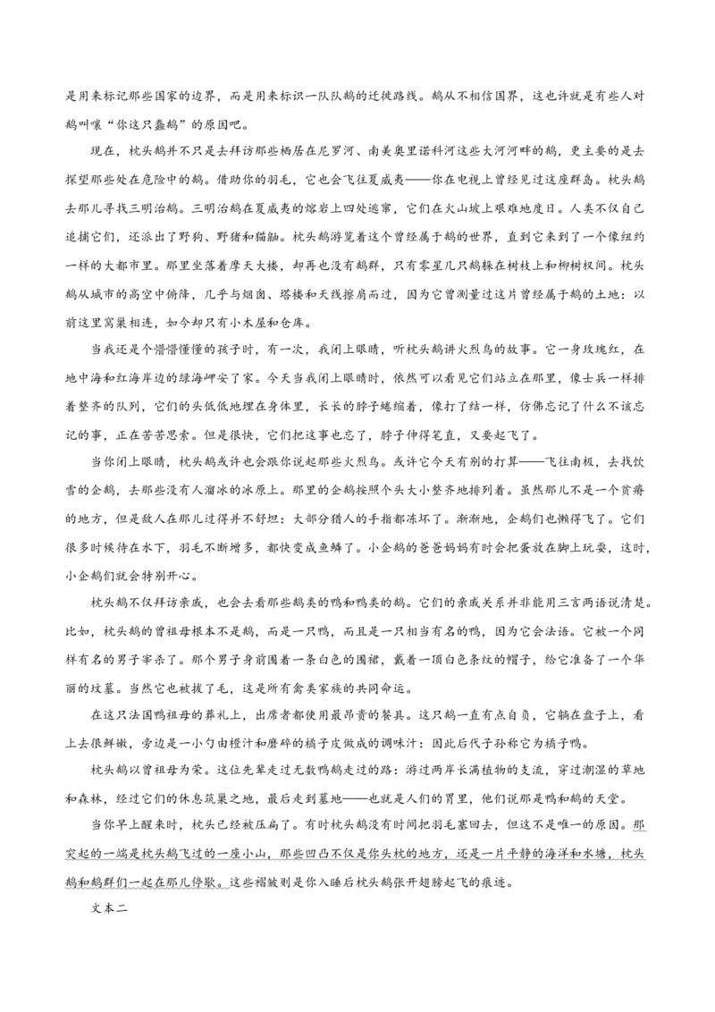 专题11小说的反套路题型（练习）-2024年高考语文二轮复习讲练测（新教材新高考）(解析版)_01高考语文_4.22024年新高考资料_2.2024二轮复习