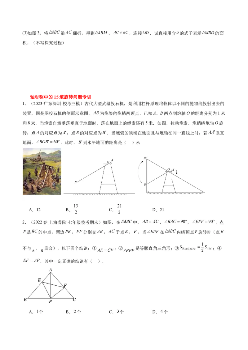 专题10轴对称中的翻折、旋转问题专训（学生版）_初中数学_八年级数学上册（人教版）_重难点专题提升-V7_2024版
