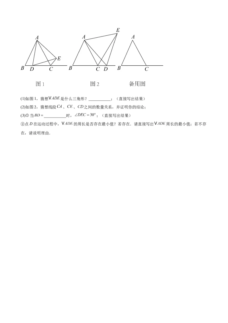 专题10轴对称中的翻折、旋转问题专训（学生版）_初中数学_八年级数学上册（人教版）_重难点专题提升-V7_2024版