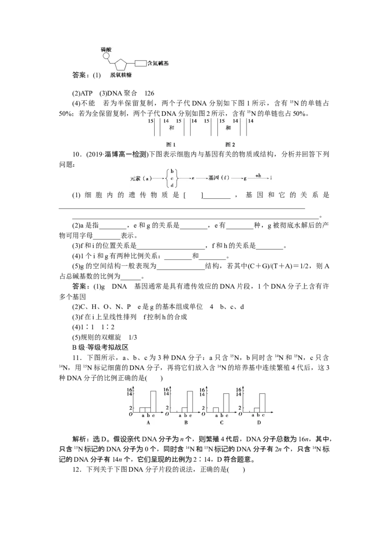 《第3节DNA的复制》随堂达标检测_高中九科知识点归纳。_人教版高中Word电子版试卷练习试题知识点全科_高中生物试卷习题_生物必修_必修2_人教版生物必修二单元测试（012份）