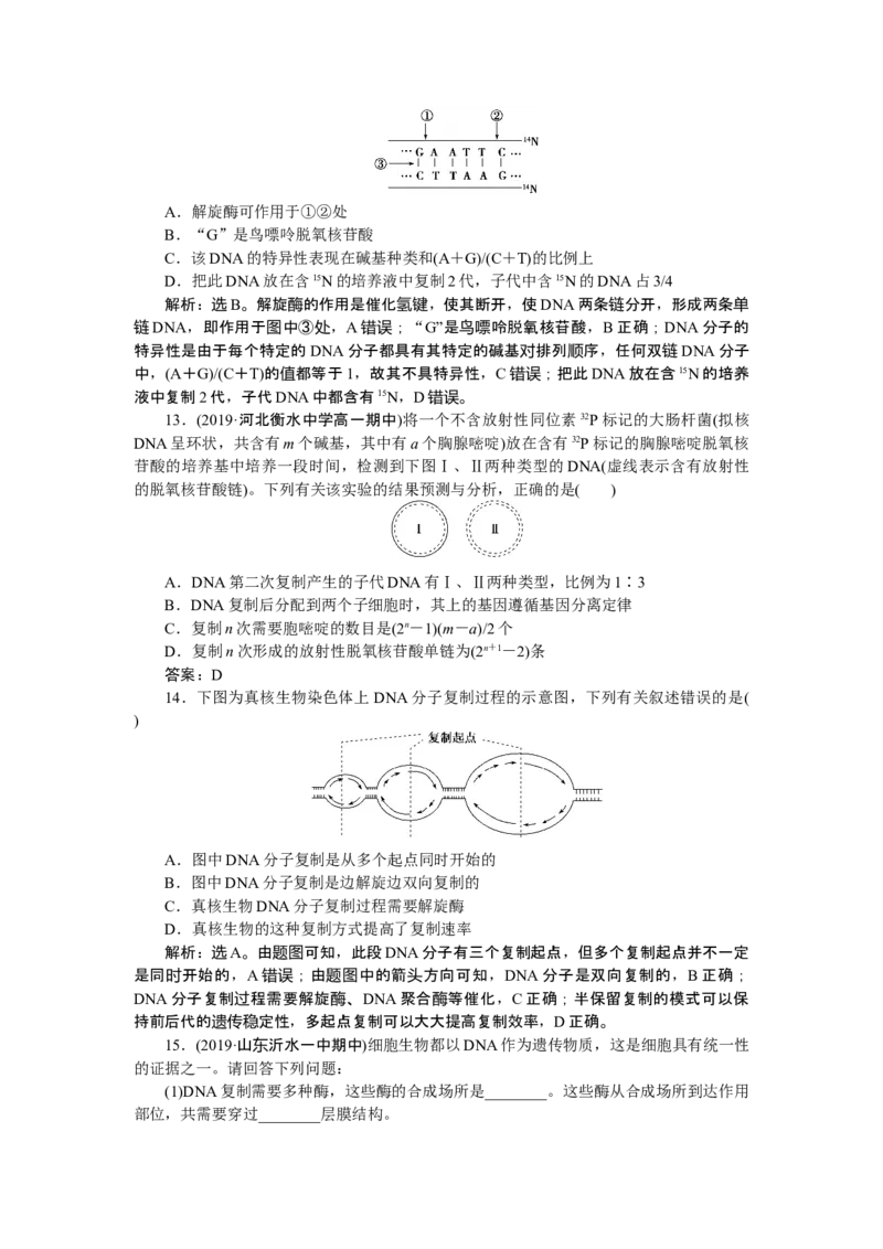 《第3节DNA的复制》随堂达标检测_高中九科知识点归纳。_人教版高中Word电子版试卷练习试题知识点全科_高中生物试卷习题_生物必修_必修2_人教版生物必修二单元测试（012份）