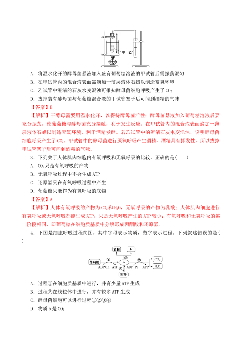 5.3细胞呼吸的原理和应用-高一生物上学期课后培优分级练（2019人教版必修1）（解析版）_高中九科知识点归纳。_人教版高中Word电子版试卷练习试题知识点全科_高中生物试卷习题_必修1