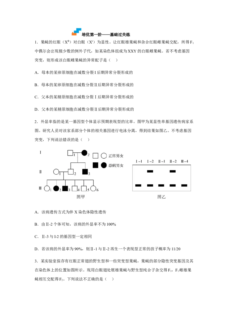 2.3伴性遗传（原卷版）_高中九科知识点归纳。_人教版高中Word电子版试卷练习试题知识点全科_高中生物试卷习题_生物必修_必修2_人教版生物必修二同步练习（057份）_2、课后培优练
