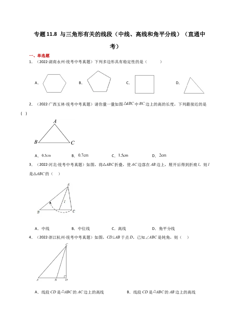 专题11.8与三角形有关的线段（中线、高线和角平分线）（直通中考）-（人教版）_初中数学_八年级数学上册（人教版）_专题突破练习-V4_2024版
