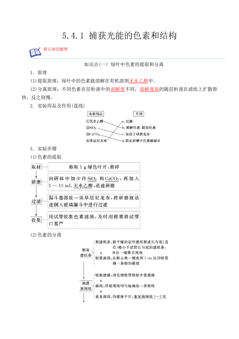 5.4.1捕获光能的色素和结构-高一生物上学期课后培优分级练（2019人教版必修1）（解析版）_高中九科知识点归纳。_人教版高中Word电子版试卷练习试题知识点全科_高中生物试卷习题_必修1