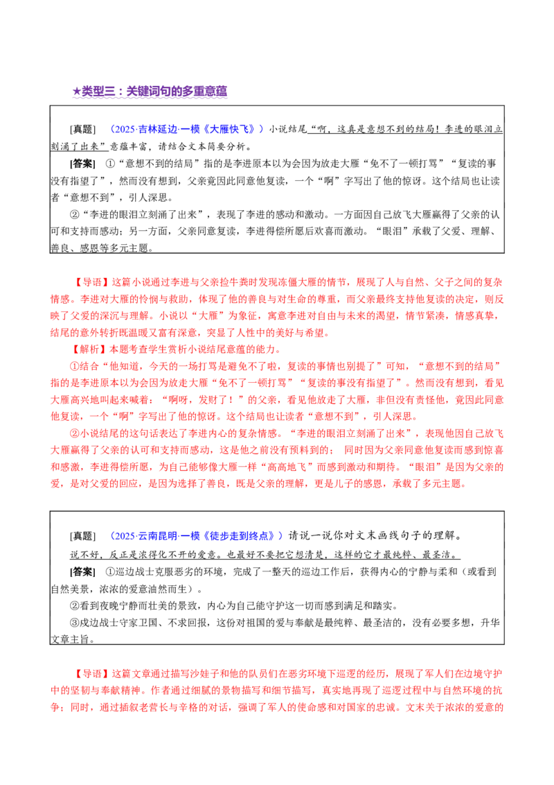专题09主旨探究题（讲义）（解析版）_01高考语文_52025年新高考资料_二轮复习_01高考语文等多个文件_上好课2025年高考语文二轮复习讲练测（新高考通用）