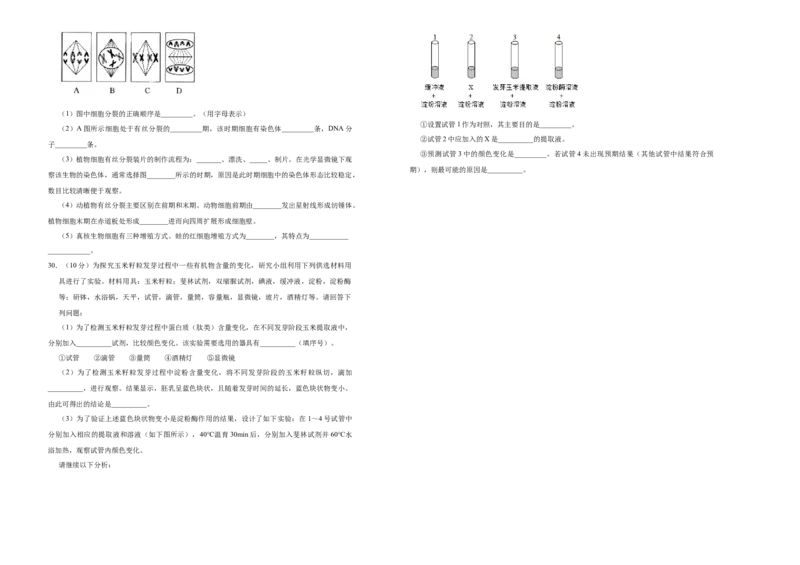 上学期高一期末备考金卷生物（B卷）学生版_高中九科知识点归纳。_人教版高中Word电子版试卷练习试题知识点全科_高中生物试卷习题_生物必修_必修1_1.模拟题