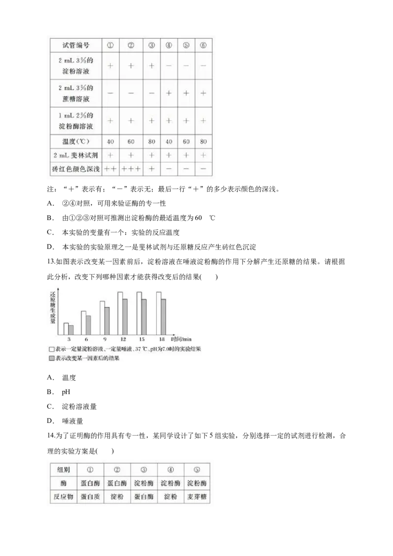 5.1.2降低化学反应活化能的酶练习（1）（原卷版）_高中九科知识点归纳。_人教版高中Word电子版试卷练习试题知识点全科_高中生物试卷习题_生物必修_必修1_2.同步练习（第二套）24份