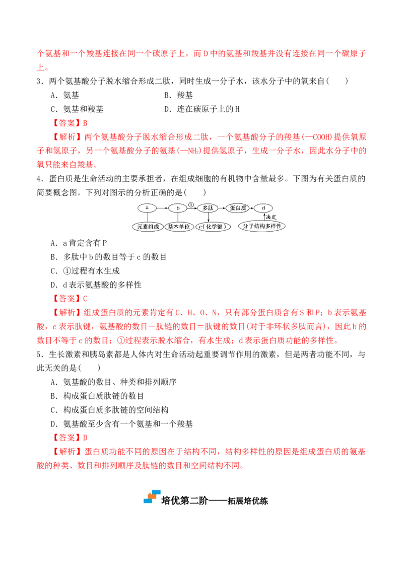 2.4蛋白质是生命活动的主要承担者-高一生物上学期课后培优分级练（2019人教版必修1）（解析版）_高中九科知识点归纳。_人教版高中Word电子版试卷练习试题知识点全科_高中生物试卷习题