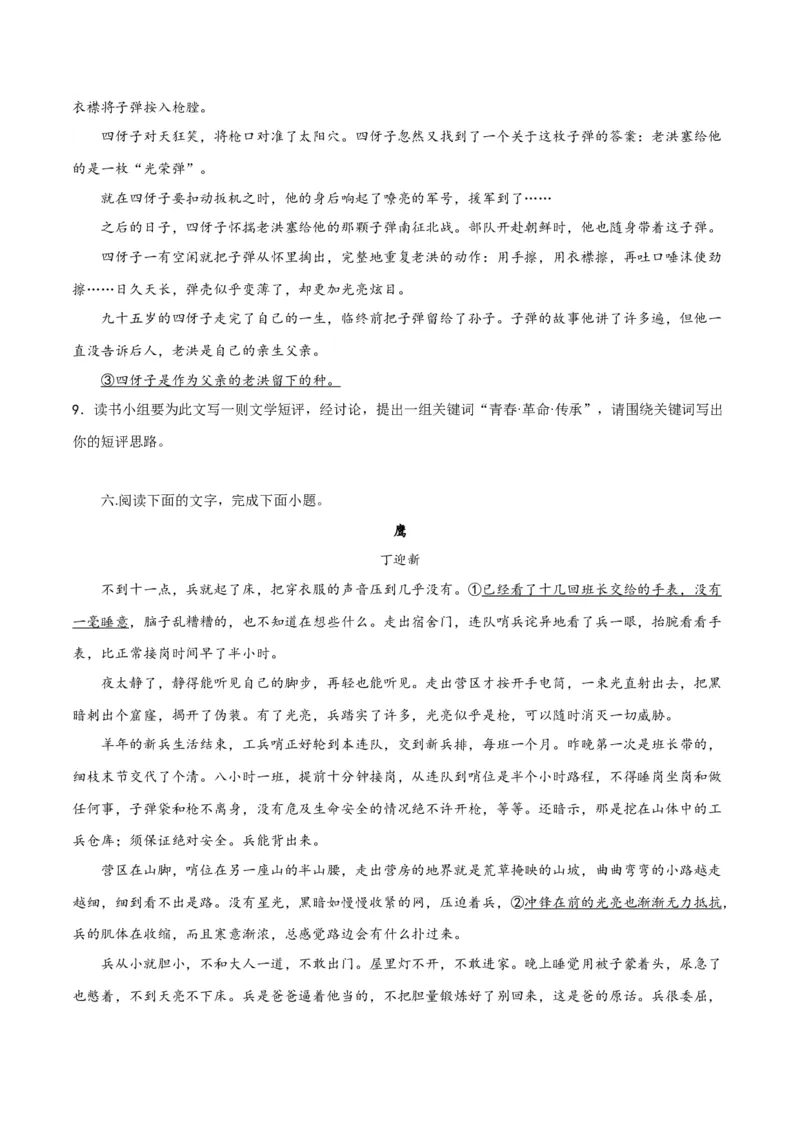 专题11小说的反套路题型（练习）-2024年高考语文二轮复习讲练测（新教材新高考）(原卷版)_01高考语文_4.22024年新高考资料_2.2024二轮复习