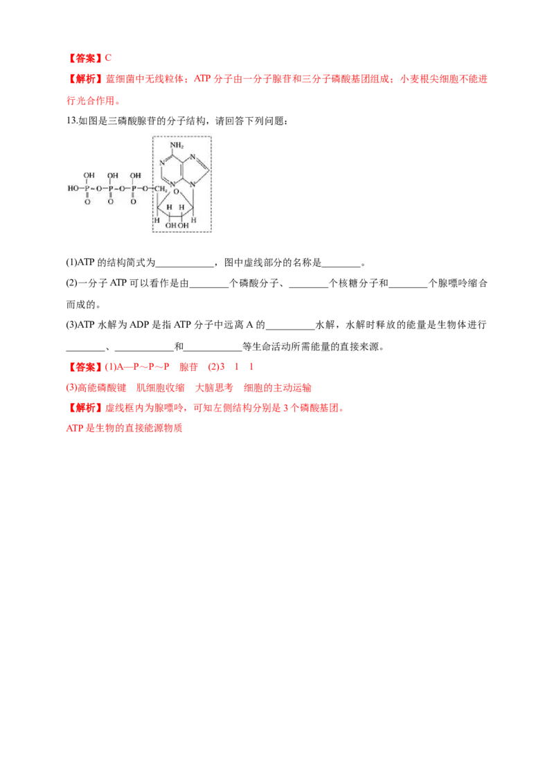 5.2细胞的能量&ldquo;通货&rdquo;ATP练习（1）（解析版）_高中九科知识点归纳。_人教版高中Word电子版试卷练习试题知识点全科_高中生物试卷习题_生物必修_必修1_2.同步练习（第二套）24份