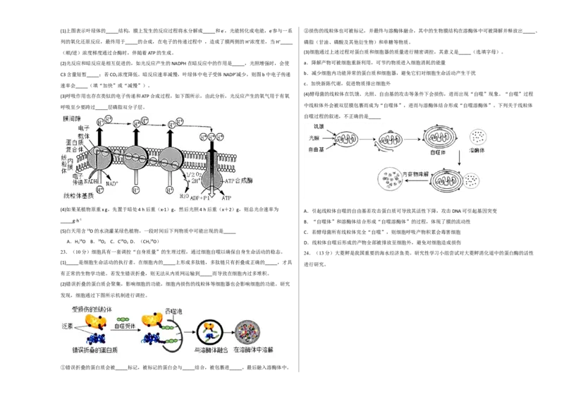 2022-2023学年高一生物上学期期末考前必刷卷01（人教版2019）（考试版）_高中九科知识点归纳。_人教版高中Word电子版试卷练习试题知识点全科_高中生物试卷习题_生物必修_必修1_1.模拟题