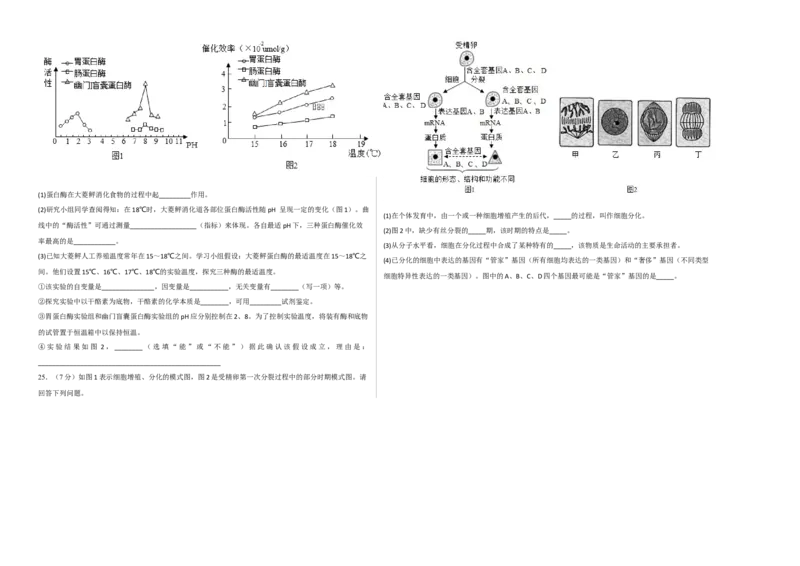 2022-2023学年高一生物上学期期末考前必刷卷01（人教版2019）（考试版）_高中九科知识点归纳。_人教版高中Word电子版试卷练习试题知识点全科_高中生物试卷习题_生物必修_必修1_1.模拟题