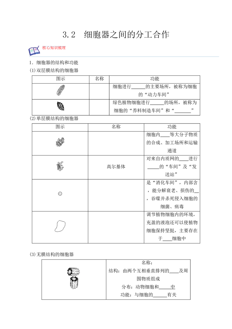 3.2细胞器之间的分工合作-高一生物上学期课后培优分级练（2019人教版必修1）（原卷版）_高中九科知识点归纳。_人教版高中Word电子版试卷练习试题知识点全科_高中生物试卷习题_必修1