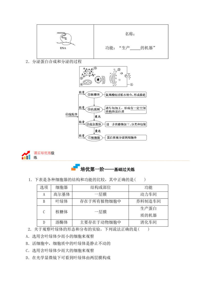 3.2细胞器之间的分工合作-高一生物上学期课后培优分级练（2019人教版必修1）（原卷版）_高中九科知识点归纳。_人教版高中Word电子版试卷练习试题知识点全科_高中生物试卷习题_必修1