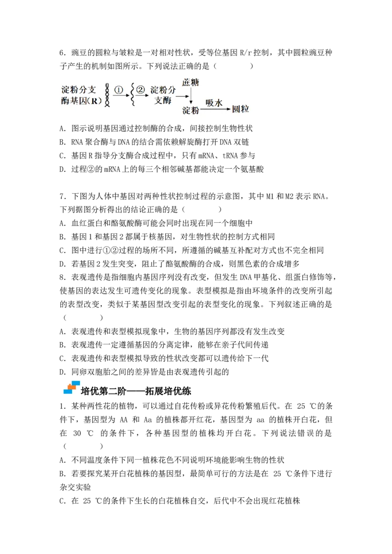 4.2基因表达与性状的关系（原卷版）_高中九科知识点归纳。_人教版高中Word电子版试卷练习试题知识点全科_高中生物试卷习题_生物必修_必修2_人教版生物必修二同步练习（057份）