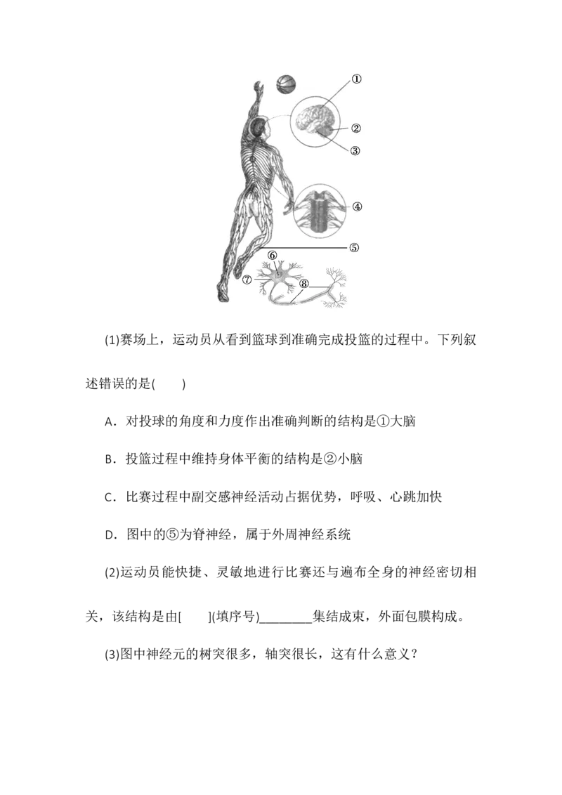 2.1神经调节的结构基础同步练习高二上学期生物人教版选择性必修1_高中九科知识点归纳。_人教版高中Word电子版试卷练习试题知识点全科_高中生物试卷习题_生物选修_选修1