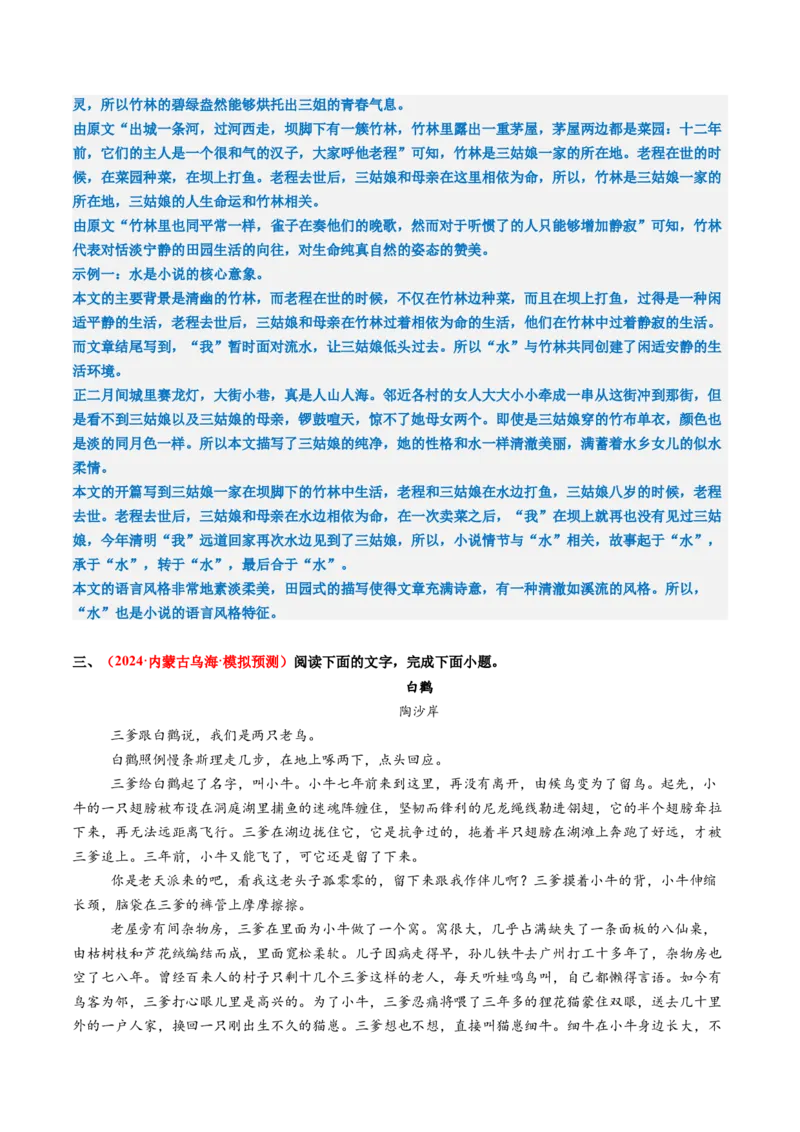 专题06概括分析题（练习）（解析版）_01高考语文_52025年新高考资料_二轮复习_01高考语文等多个文件_上好课2025年高考语文二轮复习讲练测（新高考通用）