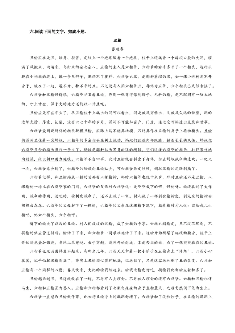 专题05小说内容理解和分析客观题（练习）(原卷版)-2024年高考语文二轮复习讲练测（新教材新高考）_01高考语文_新高考复习资料_2024年新高考资料_二轮复习资料_配套练习