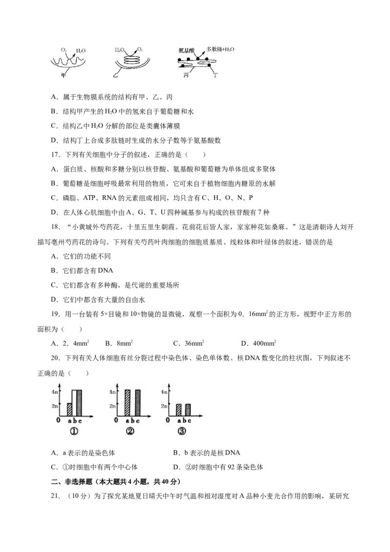 2019人教版必修1期末（B卷滚动提升检测）-2021年高考生物一轮复习单元滚动双测卷（新高考地区专用）（原卷版）_高中九科知识点归纳。_人教版高中Word电子版试卷练习试题知识点全科