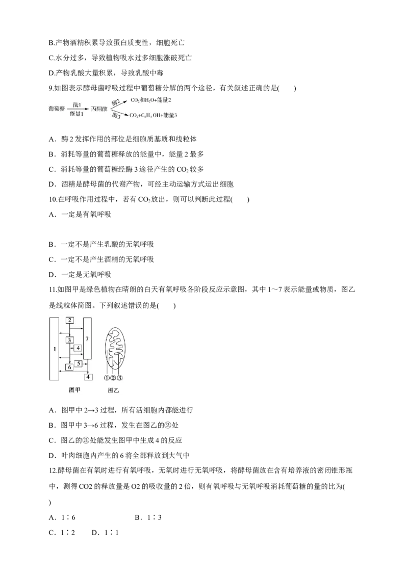5.3细胞呼吸的原理和应用练习（1）（原卷版）_高中九科知识点归纳。_人教版高中Word电子版试卷练习试题知识点全科_高中生物试卷习题_生物必修_必修1_2.同步练习（第二套）24份