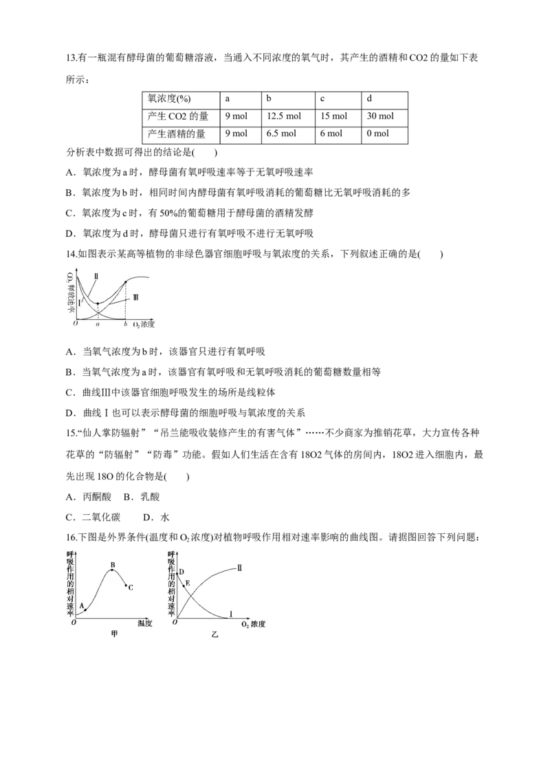 5.3细胞呼吸的原理和应用练习（1）（原卷版）_高中九科知识点归纳。_人教版高中Word电子版试卷练习试题知识点全科_高中生物试卷习题_生物必修_必修1_2.同步练习（第二套）24份