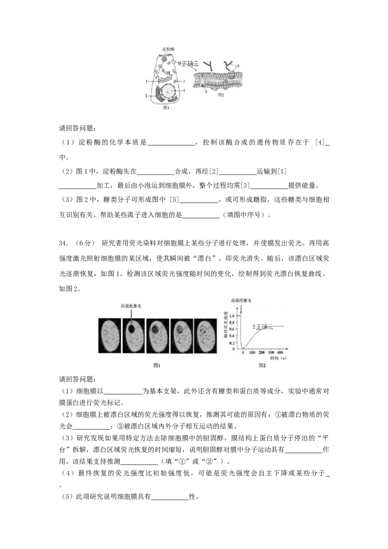 北京市丰台区高一上学期中考试（B）生物_高中九科知识点归纳。_人教版高中Word电子版试卷练习试题知识点全科_高中生物试卷习题_生物必修_必修1_人教版生物必修一期中测试（033份）