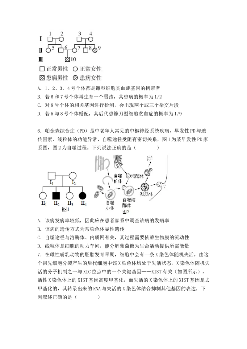 5.3人类遗传病（原卷版）_高中九科知识点归纳。_人教版高中Word电子版试卷练习试题知识点全科_高中生物试卷习题_生物必修_必修2_人教版生物必修二同步练习（057份）_2、课后培优练