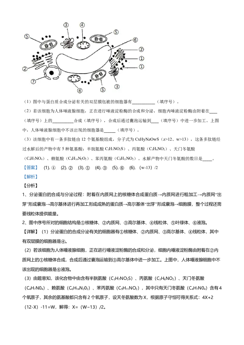 精品解析：江苏省南京市南京师大附中高一上学期期末生物试题（解析版）_高中九科知识点归纳。_人教版高中Word电子版试卷练习试题知识点全科_高中生物试卷习题_生物必修_必修1
