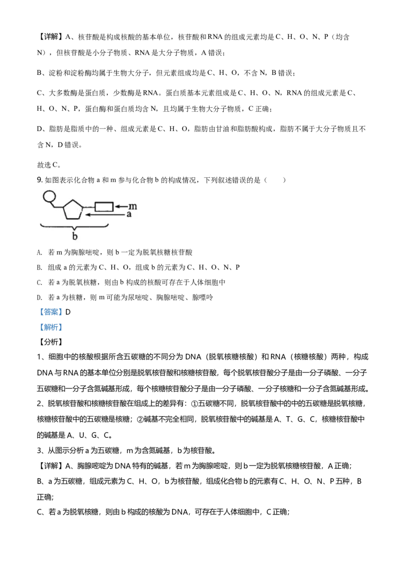 精品解析：江苏省南京市南京师大附中高一上学期期末生物试题（解析版）_高中九科知识点归纳。_人教版高中Word电子版试卷练习试题知识点全科_高中生物试卷习题_生物必修_必修1