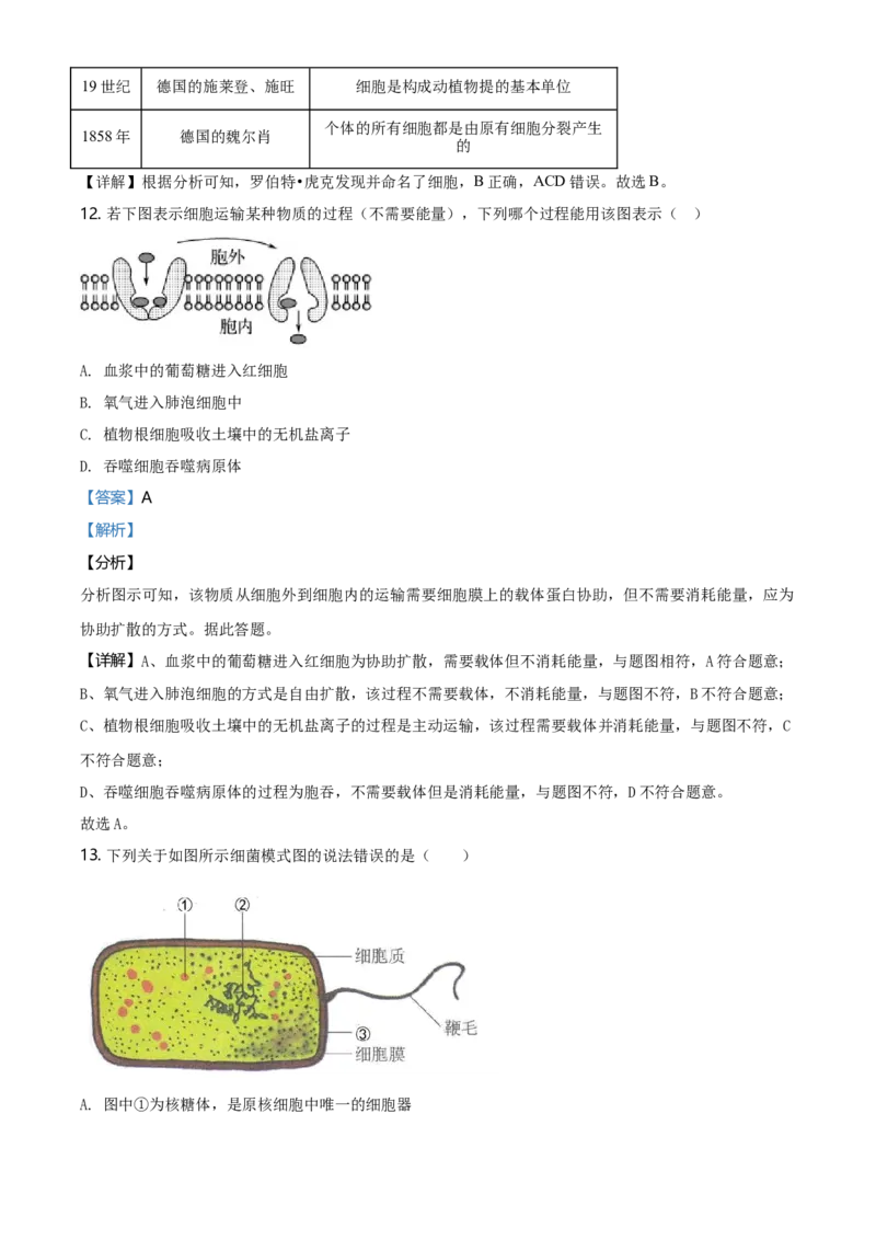 精品解析：江苏省南京市南京师大附中高一上学期期末生物试题（解析版）_高中九科知识点归纳。_人教版高中Word电子版试卷练习试题知识点全科_高中生物试卷习题_生物必修_必修1