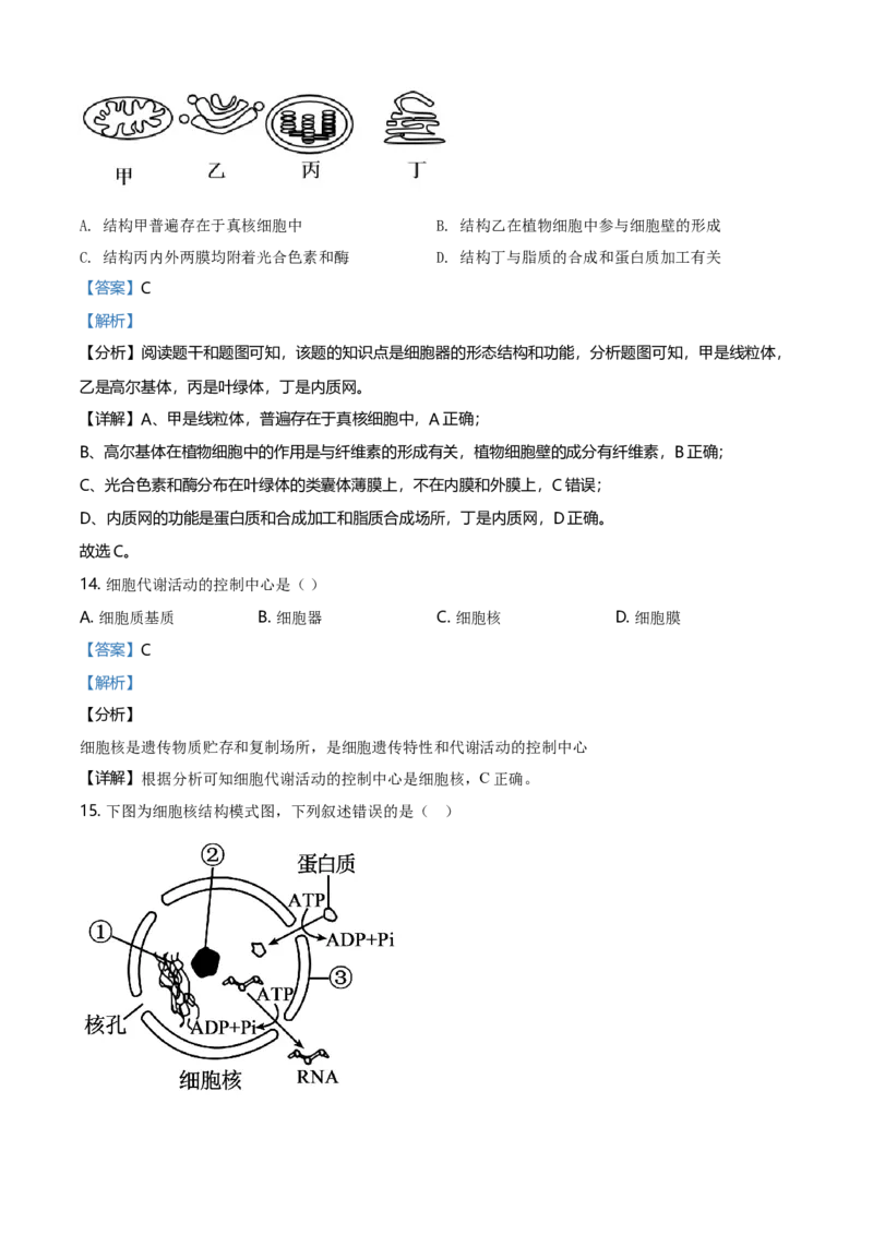 精品解析：江苏省南京市高一上学期期末学情调研生物试题（解析版）_高中九科知识点归纳。_人教版高中Word电子版试卷练习试题知识点全科_高中生物试卷习题_生物必修_必修1_2.各地真题